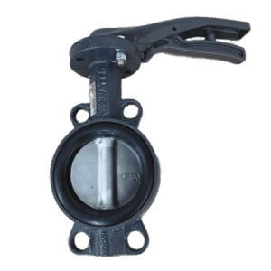 VLKL XYLIA2 WAFER DN50 GGG40-EPDM-CF8M-16B-HANDGREEP