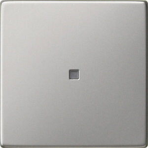 Gira Systeem 55 schakelwip met lens edelstaal  (0290600)