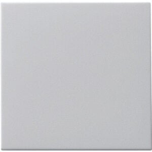 Gira WIP TASTSCH S55 GR (0916015)