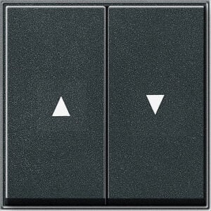 Gira 55 OUD Bed.element / centr.pl. schakelmat (029467)