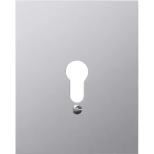Gira afdekplaat neutraal wd (009830)