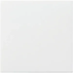 Gira centraalplaat Ackermann 72642 C / 72639 A - systeem 55 zuiver wit mat (022527)