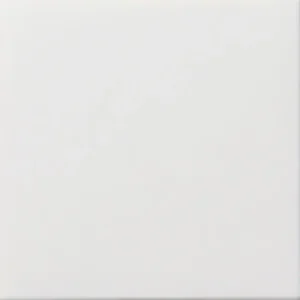 Gira blinddeksel incl. draagframe F100 wit glans (0268112)