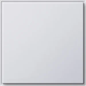 Gira blinddeksel incl. draagframe TX44 wit (026866)