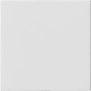 Gira blinde afdekking zonder draagring System 55 zuiver wit mat (810827)