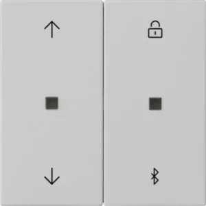 Gira Bluetooth bedieningselement met pijlsymbolen Systeem 3000 Systeem 55 grijs mat (5367015)