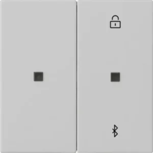 Gira Bluetooth bedieningselement Systeem 3000 Systeem 55 grijs mat (5381015)