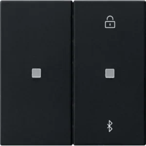 Gira Bluetooth bedieningselement Systeem 3000 Systeem 55 zwart mat (5381005)
