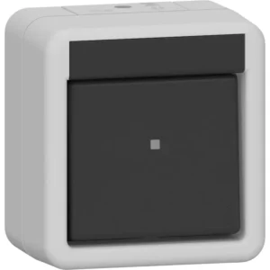 Gira schakelaar 2-polig compleet opbouw IP44 (310230)