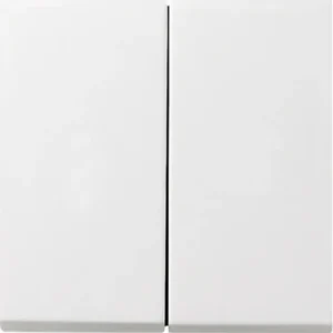 Gira schakelwip 2-voudig F100 wit glans oud model (0295112)