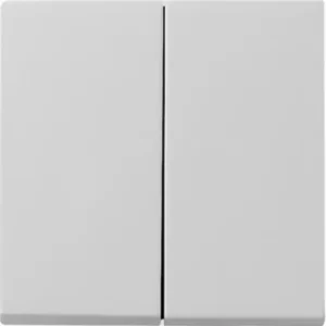 Gira schakelwip 2-voudig Systeem 55 grijs mat oud model (0295015)