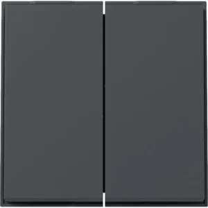 Gira schakelwip 2-voudig TX44 antraciet (329567)