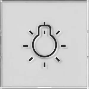 Gira schakelwip kleurneutraal met groot tekstkader en groot reliëfsymbool licht (321600)