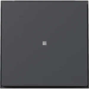 Gira schakelwip met controlevenster TX44 antraciet (329067)