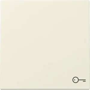 Gira schakelwip met symbool deur Systeem 55 creme glans (328701)