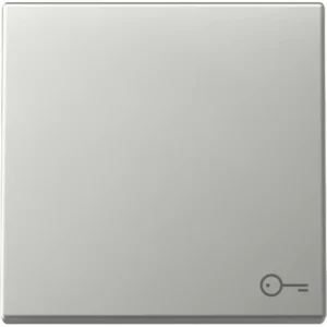 Gira schakelwip met symbool deur Systeem 55 edelstaal (3287600)