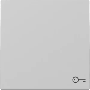 Gira schakelwip met symbool deur Systeem 55 grijs mat (3287015)