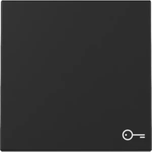 Gira schakelwip met symbool deur Systeem 55 zwart mat (3287005)