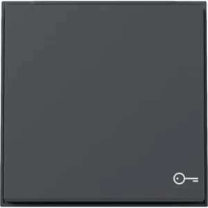 Gira TX_44 wip met symbool sleutel (SW IB) - antraciet (328767)