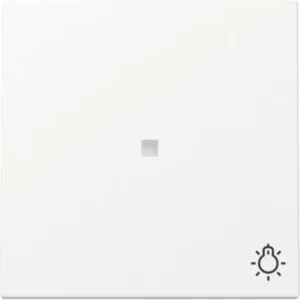 Gira schakelwip met symbool licht en controlevenster Systeem 55 wit mat (367427)