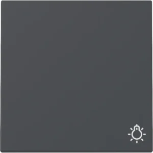 Gira schakelwip met symbool licht Systeem 55 antraciet mat (328528)