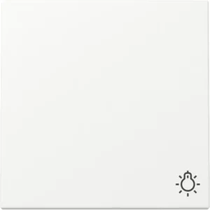 Gira schakelwip met symbool licht Systeem 55 wit mat (328527)