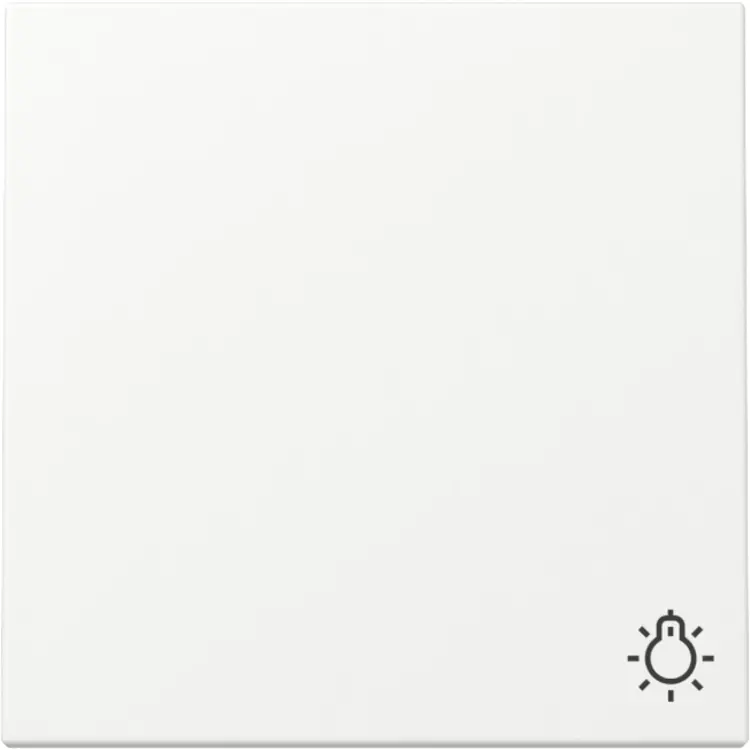 Gira schakelwip met symbool licht Systeem 55 wit mat (328527)