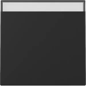 Gira schakelwip met tekstkader Systeem 55 zwart mat (3299005)