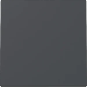 Gira schakelwip Systeem 55 antraciet mat (329628)