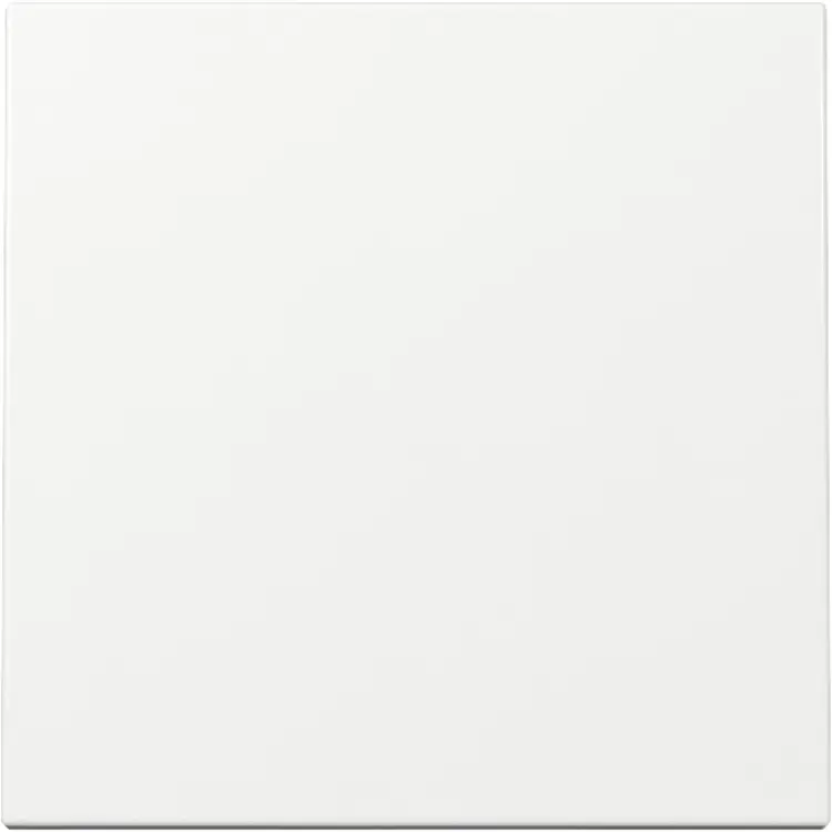 Gira schakelwip Systeem 55 wit glans (329603)