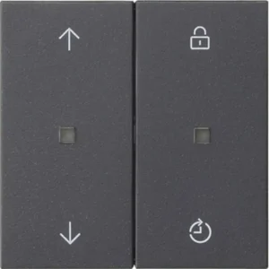 Gira Systeem 3000 Memory bedieningselement met pijlsymbolen Systeem 55 antraciet mat (536328)