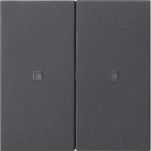 Gira Systeem 3000 wip 2-voudig Systeem 55 antraciet (536928)