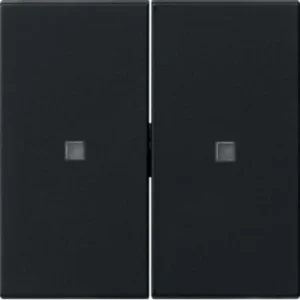 Gira Systeem 3000 wip 2-voudig Systeem 55 zwart (5369005)