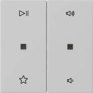 Gira wip 2-voudig audiobesturing System 55 grijs mat (5384015)