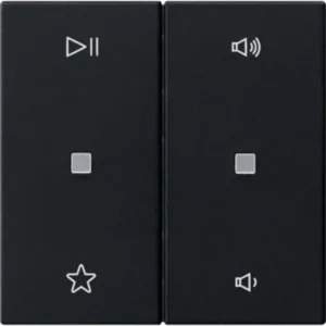 Gira wip 2-voudig audiobesturing System 55 zwart mat (5384005)