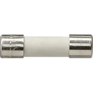 Gira Zekering 2.5A 250V traag (049732)